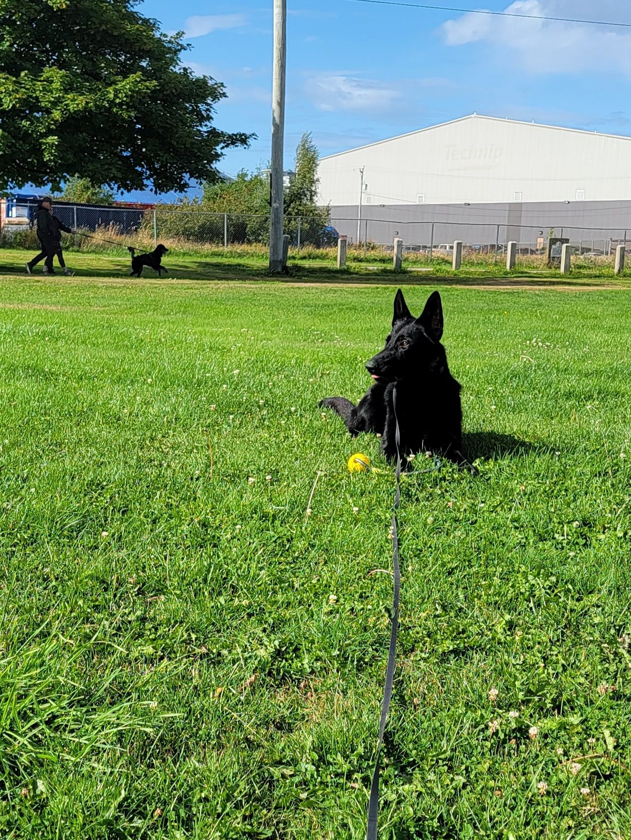 donner-sa-langue-au-chien-le-gaboteur